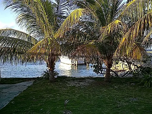 ***  Cariblue Hotel & Scuba Resort Montego Bay Jamaica